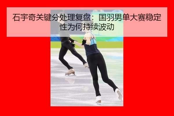 shi-yu-qi-guan-jian-fen-chu-li-fu-pan-guo-yu-nan-dan-da-sai-wen-ding-xing-wei-he-chi-xu-bo-dong-2-593.jpg
